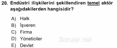 Endüstri Sosyolojisi 2016 - 2017 Dönem Sonu Sınavı 20.Soru
