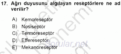 İnsan Anatomisi Ve Fizyolojisi 2015 - 2016 Ara Sınavı 17.Soru