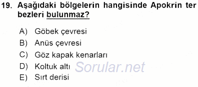 İnsan Anatomisi Ve Fizyolojisi 2015 - 2016 Ara Sınavı 19.Soru