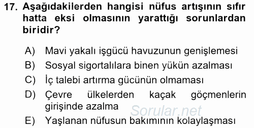 Ekonominin Güncel Sorunları 2016 - 2017 Ara Sınavı 17.Soru