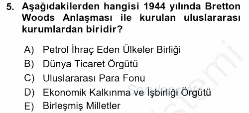 Ekonominin Güncel Sorunları 2016 - 2017 Ara Sınavı 5.Soru
