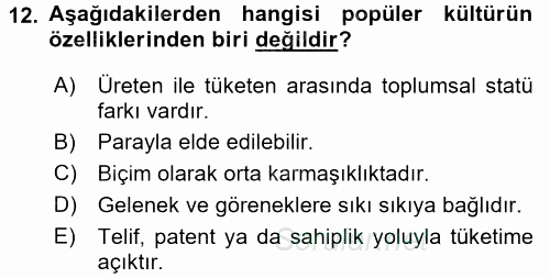 Medya Siyaset Kültür 2015 - 2016 Dönem Sonu Sınavı 12.Soru