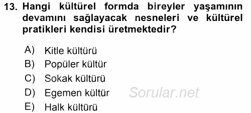 Medya Siyaset Kültür 2015 - 2016 Dönem Sonu Sınavı 13.Soru