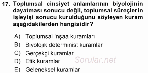 Medya Siyaset Kültür 2015 - 2016 Dönem Sonu Sınavı 17.Soru