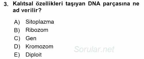 Okulöncesinde Fen Eğitimi 2016 - 2017 Dönem Sonu Sınavı 3.Soru
