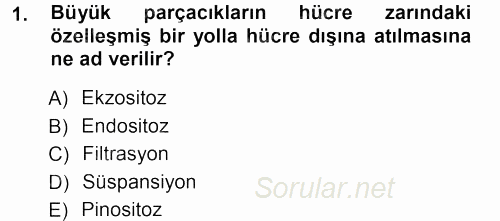 Temel Veteriner Fizyoloji 2013 - 2014 Tek Ders Sınavı 1.Soru