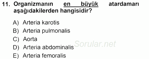 Temel Veteriner Fizyoloji 2013 - 2014 Tek Ders Sınavı 11.Soru