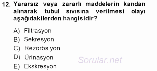 Temel Veteriner Fizyoloji 2013 - 2014 Tek Ders Sınavı 12.Soru
