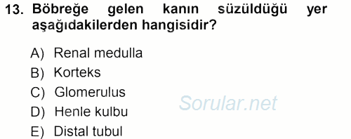 Temel Veteriner Fizyoloji 2013 - 2014 Tek Ders Sınavı 13.Soru