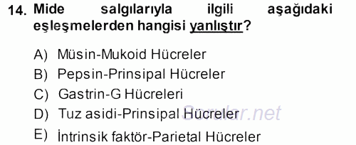 Temel Veteriner Fizyoloji 2013 - 2014 Tek Ders Sınavı 14.Soru