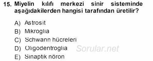 Temel Veteriner Fizyoloji 2013 - 2014 Tek Ders Sınavı 15.Soru