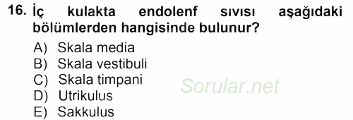 Temel Veteriner Fizyoloji 2013 - 2014 Tek Ders Sınavı 16.Soru
