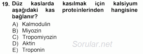 Temel Veteriner Fizyoloji 2013 - 2014 Tek Ders Sınavı 19.Soru