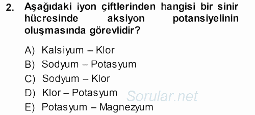 Temel Veteriner Fizyoloji 2013 - 2014 Tek Ders Sınavı 2.Soru