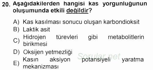 Temel Veteriner Fizyoloji 2013 - 2014 Tek Ders Sınavı 20.Soru