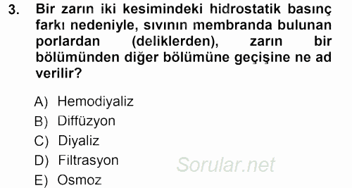 Temel Veteriner Fizyoloji 2013 - 2014 Tek Ders Sınavı 3.Soru