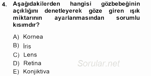 Temel Veteriner Fizyoloji 2013 - 2014 Tek Ders Sınavı 4.Soru