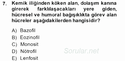 Temel Veteriner Fizyoloji 2013 - 2014 Tek Ders Sınavı 7.Soru