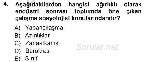 Çalışma Sosyolojisi 2012 - 2013 Ara Sınavı 4.Soru