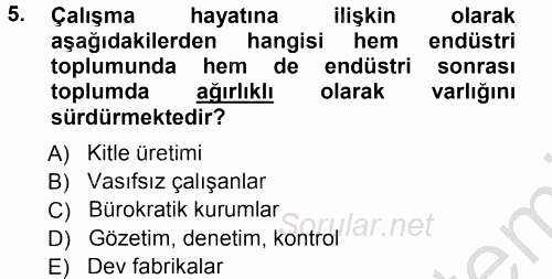Çalışma Sosyolojisi 2012 - 2013 Ara Sınavı 5.Soru