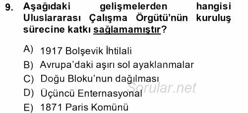 Uluslararası Ekonomik Kuruluşlar 2013 - 2014 Ara Sınavı 9.Soru