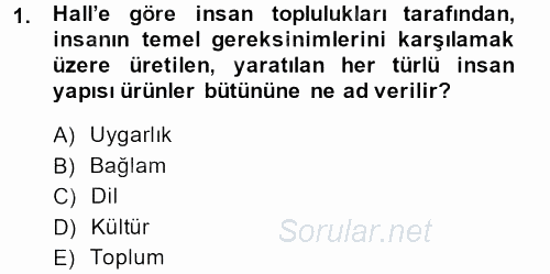 Kültürlerarası İletişim 2013 - 2014 Ara Sınavı 1.Soru