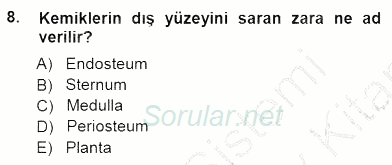 Tıbbi Terminoloji 2012 - 2013 Dönem Sonu Sınavı 8.Soru