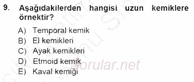 Tıbbi Terminoloji 2012 - 2013 Dönem Sonu Sınavı 9.Soru