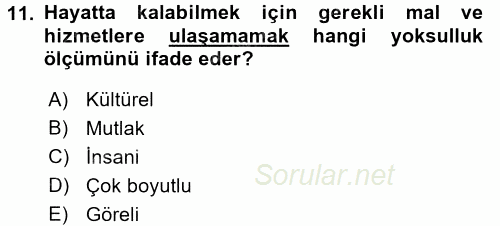 Sosyal Sorunlar 2016 - 2017 Ara Sınavı 11.Soru