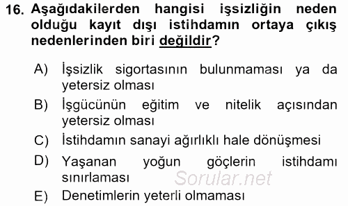 Sosyal Sorunlar 2016 - 2017 Ara Sınavı 16.Soru