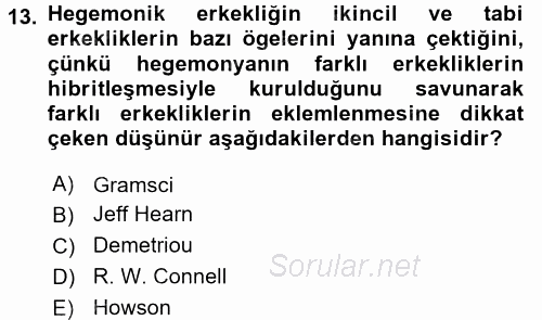 Toplumsal Cinsiyet Çalışmaları 2015 - 2016 Dönem Sonu Sınavı 13.Soru