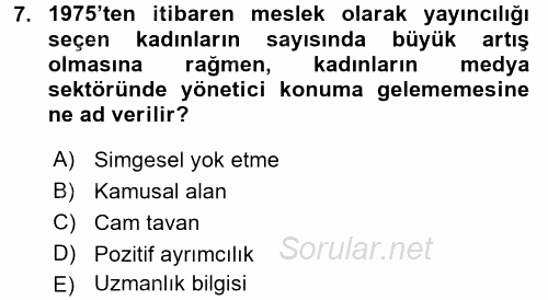 Toplumsal Cinsiyet Çalışmaları 2015 - 2016 Dönem Sonu Sınavı 7.Soru