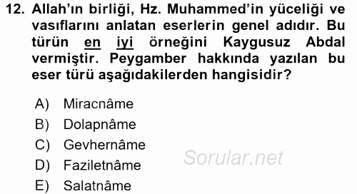 Türk Halk Şiiri 2017 - 2018 Ara Sınavı 12.Soru