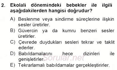 Erken Çocukluk Döneminde Gelişim 2 2013 - 2014 Dönem Sonu Sınavı 2.Soru
