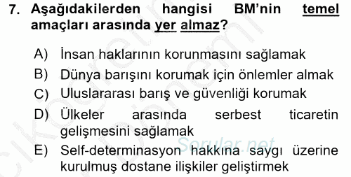 Uluslararası Örgütler 2016 - 2017 Ara Sınavı 7.Soru