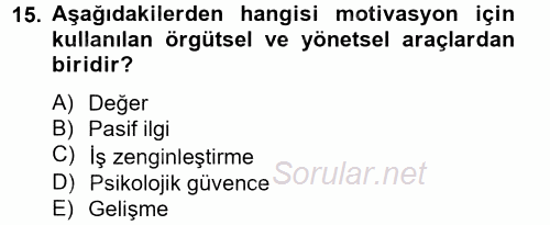 İş ve Yaşamda Motivasyon 2012 - 2013 Dönem Sonu Sınavı 15.Soru