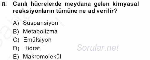 Temel Veteriner Biyokimya 2013 - 2014 Ara Sınavı 8.Soru