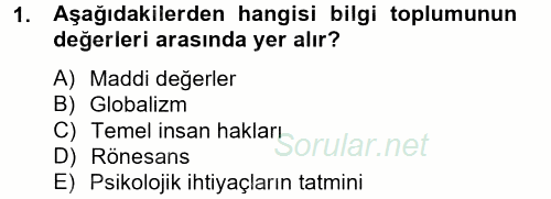 Dış Ticarette Bilgisayar Uygulamaları 2012 - 2013 Dönem Sonu Sınavı 1.Soru