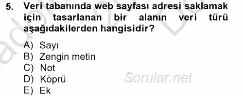 Dış Ticarette Bilgisayar Uygulamaları 2012 - 2013 Dönem Sonu Sınavı 5.Soru