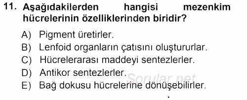 Temel Veteriner Histoloji ve Embriyoloji 2012 - 2013 Ara Sınavı 11.Soru