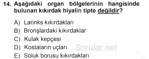 Temel Veteriner Histoloji ve Embriyoloji 2012 - 2013 Ara Sınavı 14.Soru