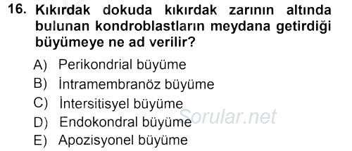 Temel Veteriner Histoloji ve Embriyoloji 2012 - 2013 Ara Sınavı 16.Soru