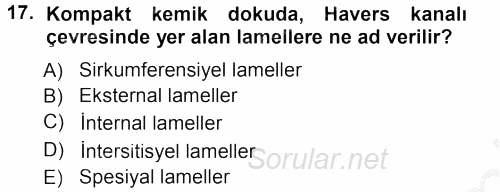 Temel Veteriner Histoloji ve Embriyoloji 2012 - 2013 Ara Sınavı 17.Soru