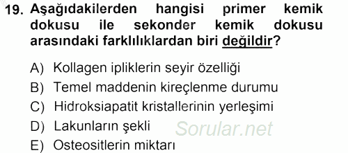 Temel Veteriner Histoloji ve Embriyoloji 2012 - 2013 Ara Sınavı 19.Soru