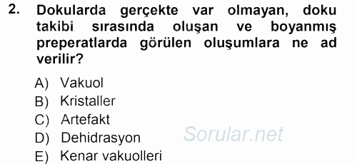 Temel Veteriner Histoloji ve Embriyoloji 2012 - 2013 Ara Sınavı 2.Soru