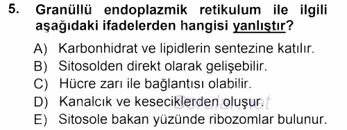 Temel Veteriner Histoloji ve Embriyoloji 2012 - 2013 Ara Sınavı 5.Soru