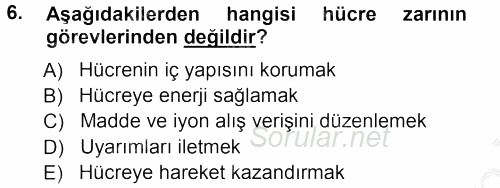 Temel Veteriner Histoloji ve Embriyoloji 2012 - 2013 Ara Sınavı 6.Soru