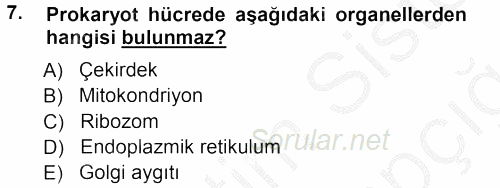 Temel Veteriner Histoloji ve Embriyoloji 2012 - 2013 Ara Sınavı 7.Soru