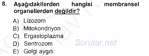 Temel Veteriner Histoloji ve Embriyoloji 2012 - 2013 Ara Sınavı 8.Soru