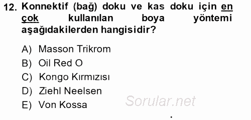 Temel Veteriner Patoloji 2014 - 2015 Ara Sınavı 12.Soru